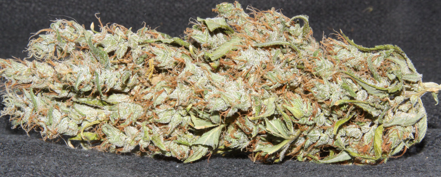 Early Haze
