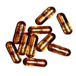 Dr. Nice BULK CBD Rebound (vegan capsules)